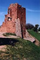 Развалины Новогрудского замка и Ромкин байк (54 kB)