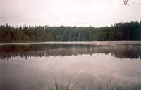 Утро на Черном озере (12084 b)